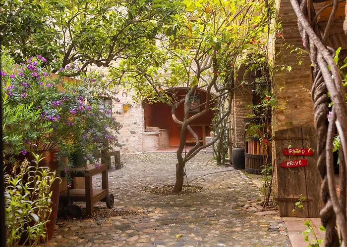 La Vieille Demeure 4* Torreilles
